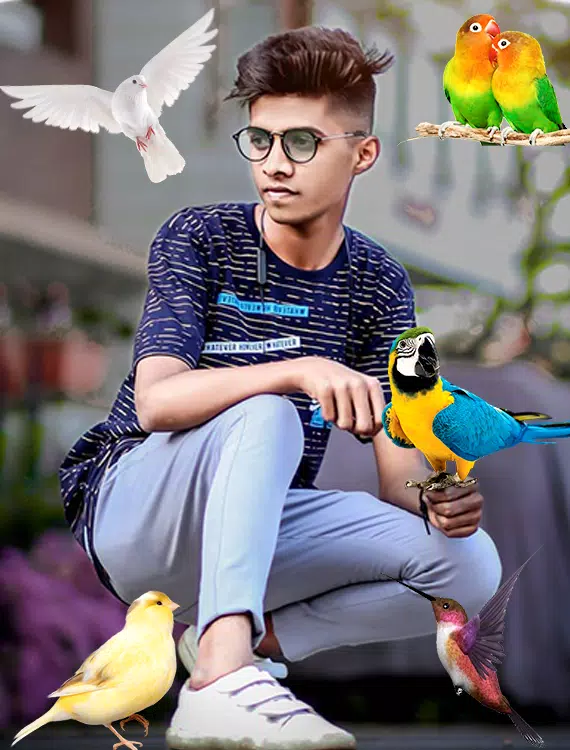 Birds Photo frame : Bird photo應用截圖第3張