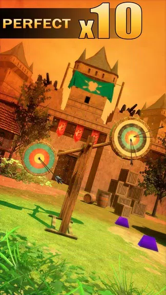 Archery Shooting應用截圖第1張