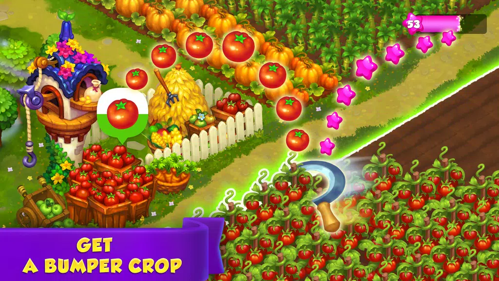 Royal Farm Tangkapan skrin 4
