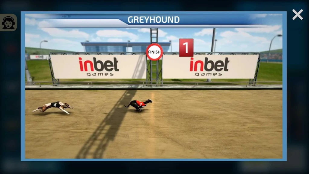 Dogs3D Races Betting 스크린샷 4