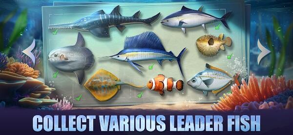 Top Fish: Ocean Game Screenshot 3