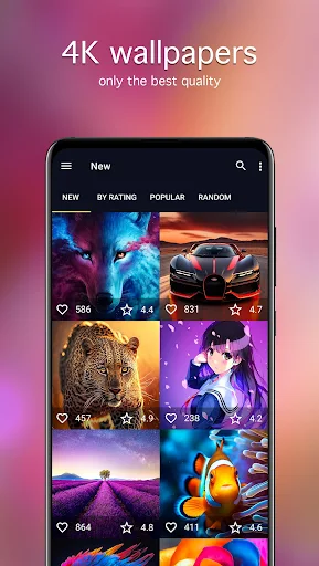 7Fon: Wallpapers & Backgrounds應用截圖第4張