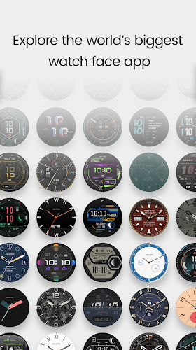 Schermata TIMEFLIK Watch Face 2