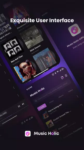 Music Holic-Offline Music Screenshot 3