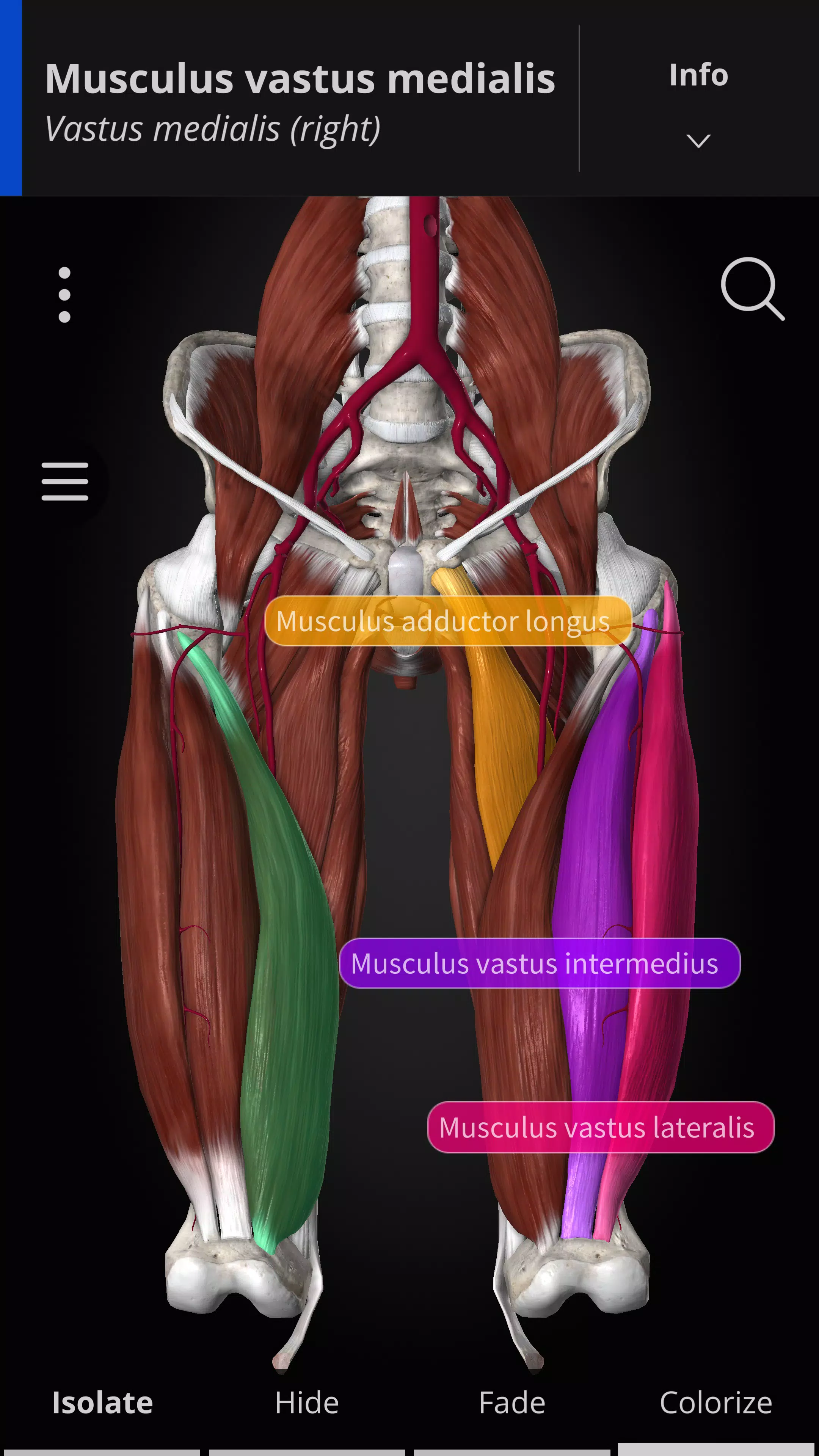 Anatomyka - 3D Anatomy Atlas应用截图第2张