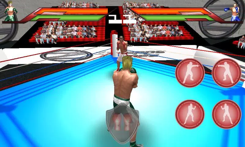 Virtual Boxing Schermafbeelding 3