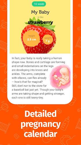 Pregnancy App and Baby Tracker Schermafbeelding 3