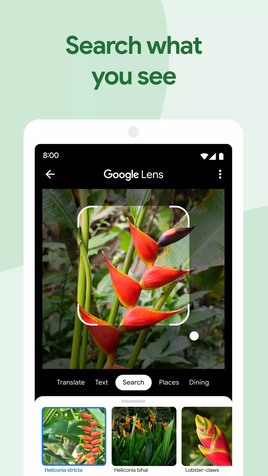 Schermata Google Photos 3