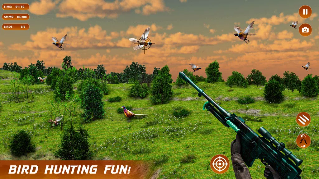 Pheasant Shooter Birds Hunting Schermafbeelding 4