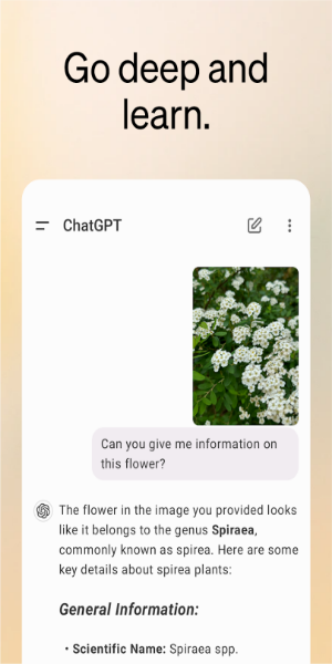 ChatGPT应用截图第3张