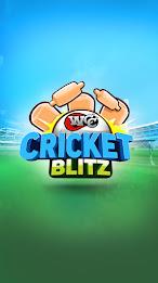 WCC Cricket Blitz スクリーンショット 1