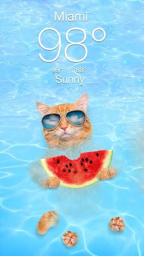 Weather Kitty - App & Widget Captura de pantalla 2