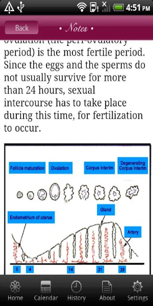 Schermata My Menstrual Diary 3