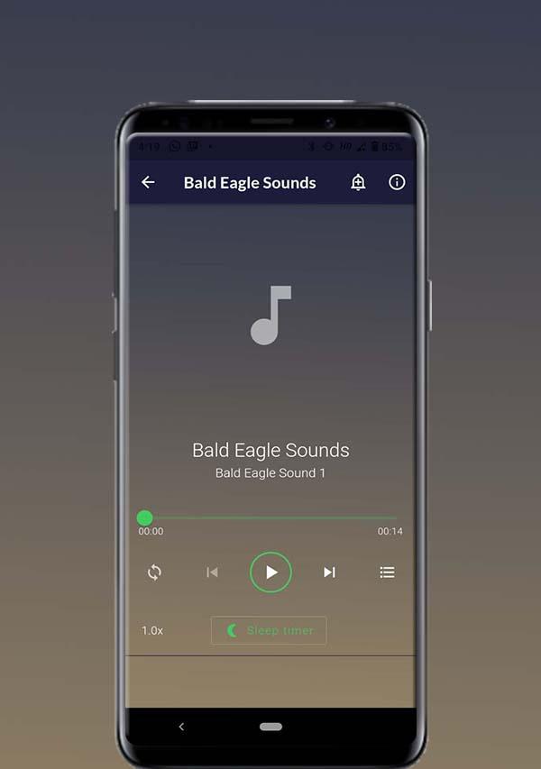 Bald Eagle Sounds ภาพหน้าจอ 2