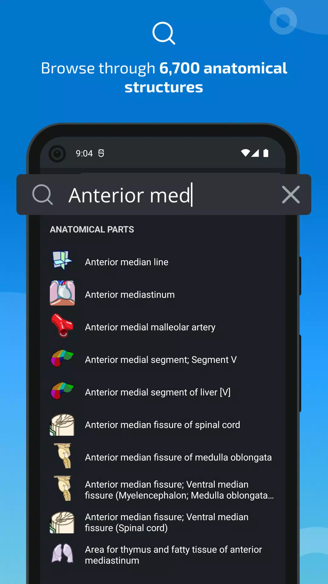 e-Anatomy ဖန်သားပြင်ဓာတ်ပုံ 3