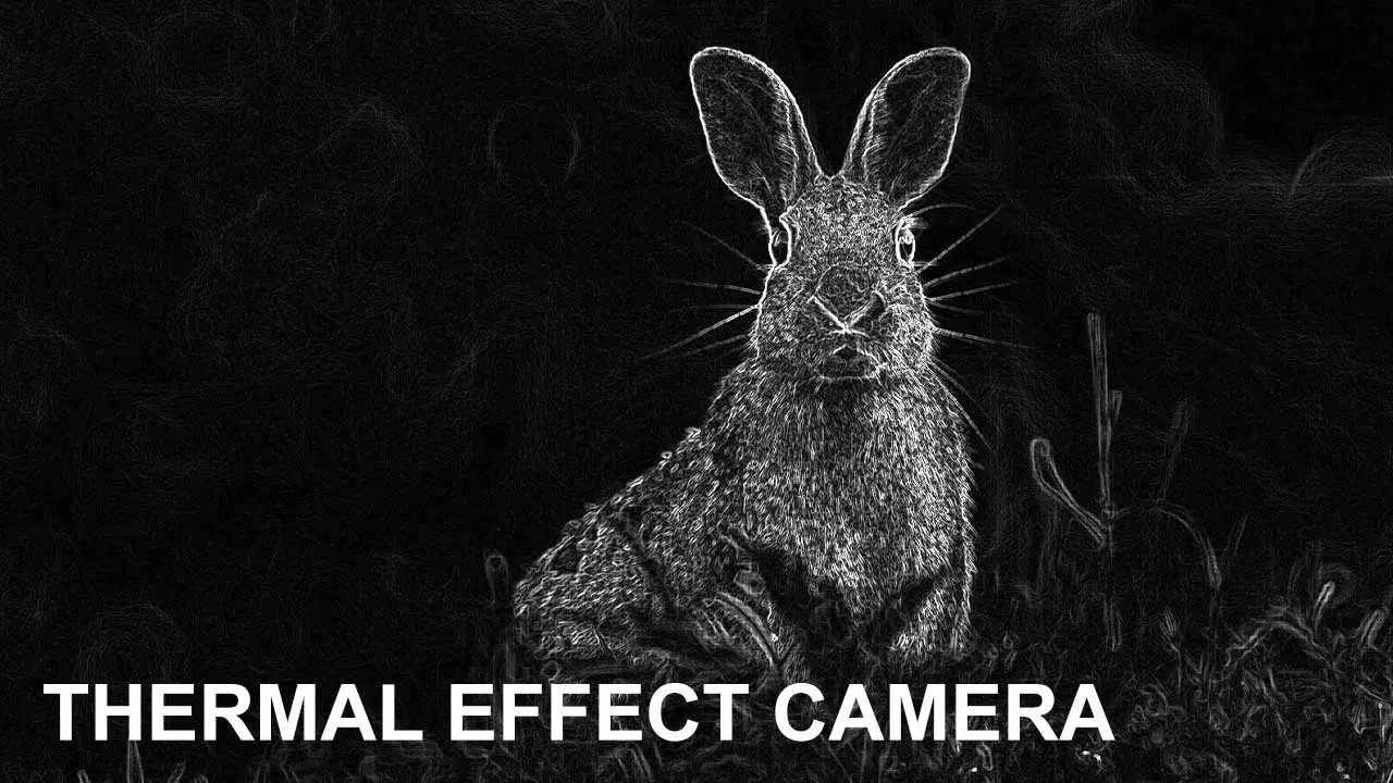 Low Light Cam Thermal Effects ဖန်သားပြင်ဓာတ်ပုံ 1