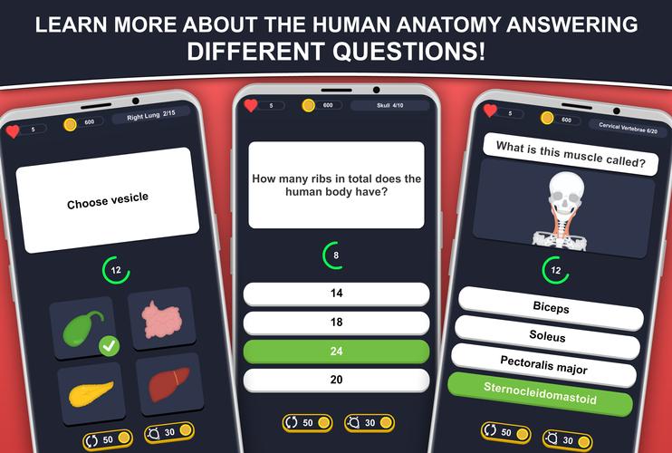 Anato Trivia Screenshot 1