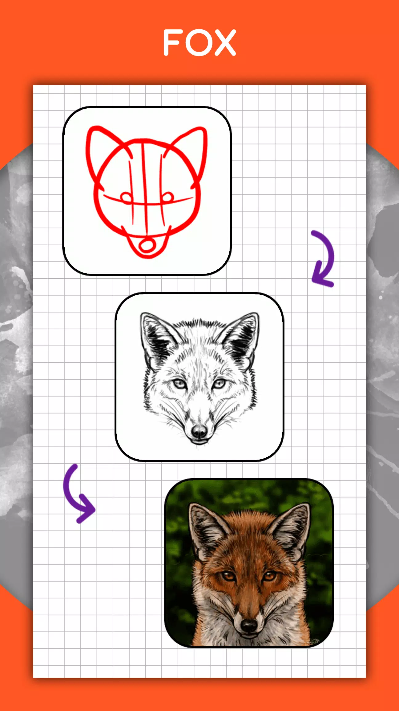 How to draw animals by steps ภาพหน้าจอ 4