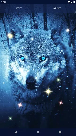 Night Wolf Live Wallpaper應用截圖第4張