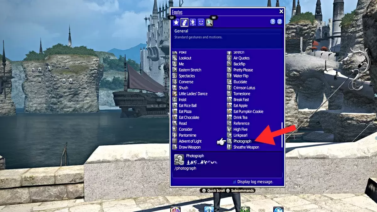 Screenshot of the Photograph emote in FFXIV