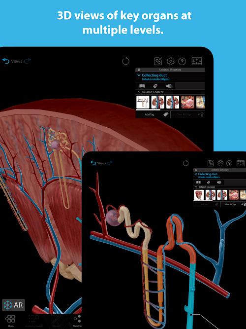 Human Anatomy Atlas 2023 Screenshot 3