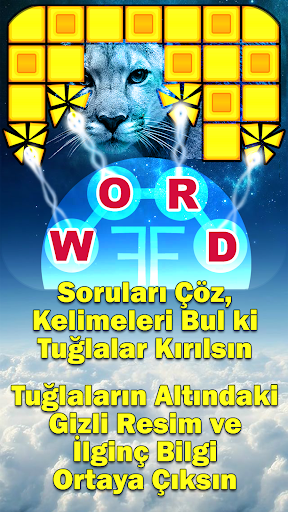 Word Fun Fact (WFF) Word Games Скриншот 3