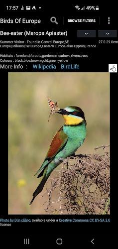 Birds Of Europe Guide स्क्रीनशॉट 3