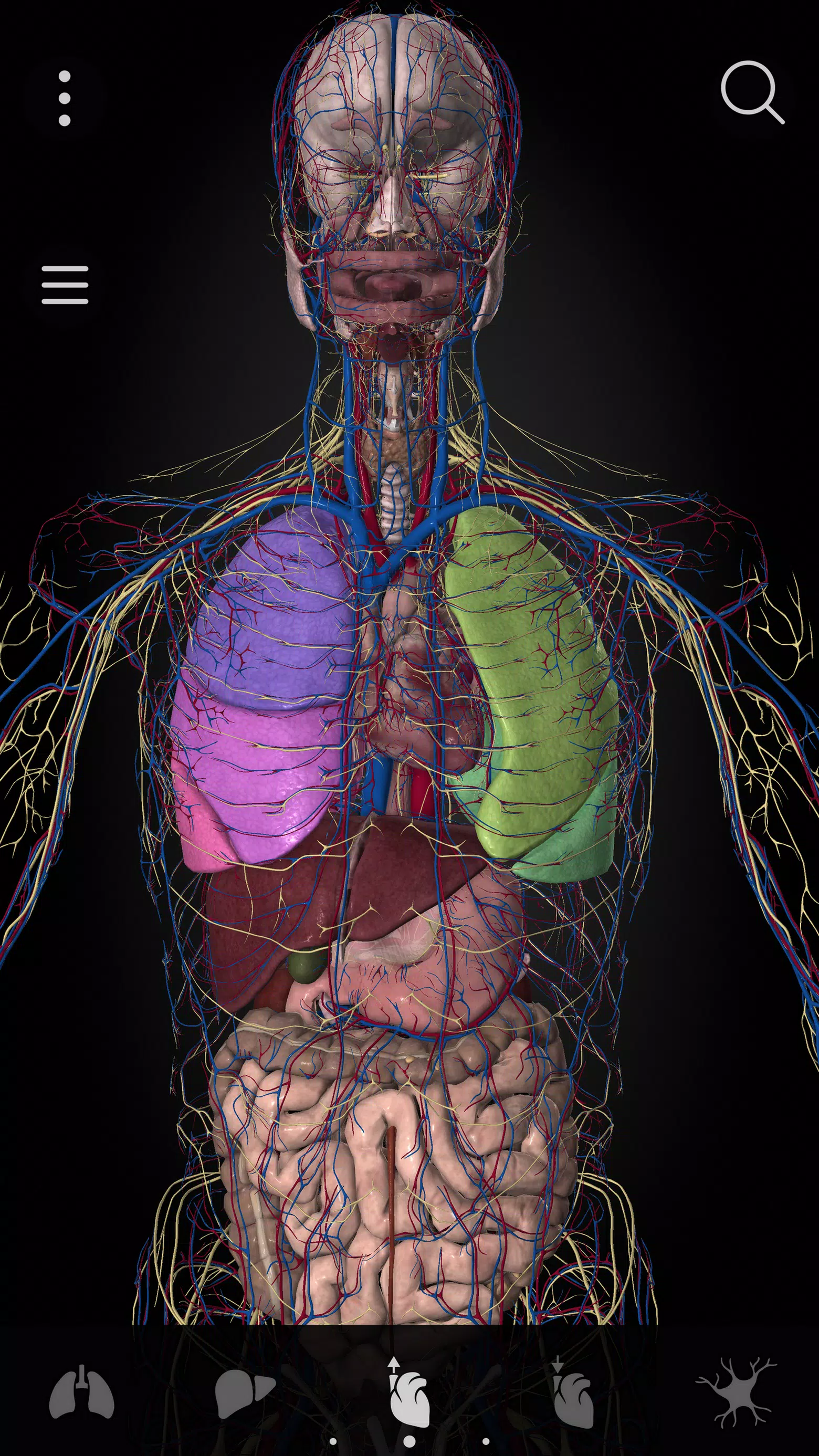 Anatomyka - 3D Anatomy Atlas应用截图第3张