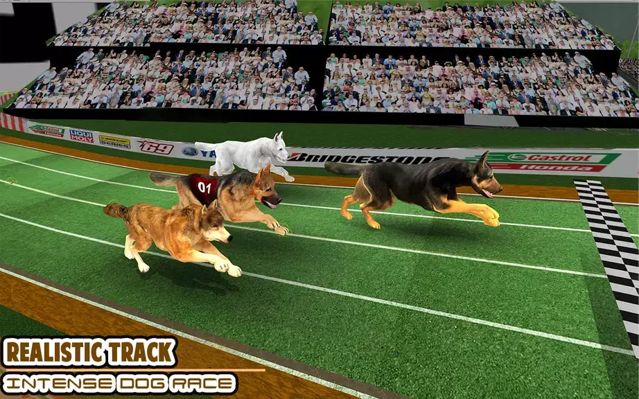 Dog racing games - dog game 3d Schermafbeelding 1