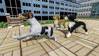 Help The Dogs- Save the Doggy Screenshot 3