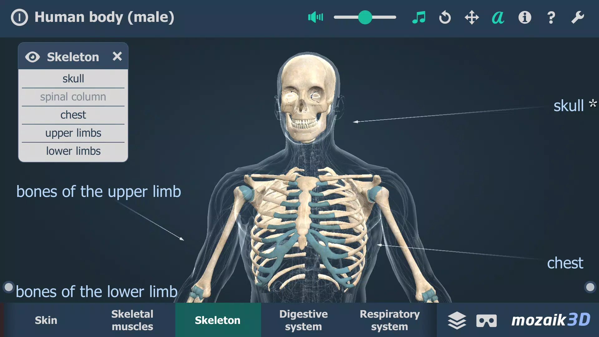 Human body (male) 3D scene Tangkapan skrin 3