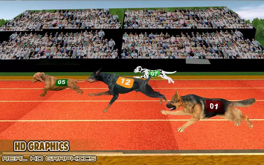 Dog racing games - dog game 3d Schermafbeelding 3