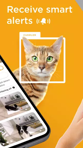 Petcube Ekran Görüntüsü 2