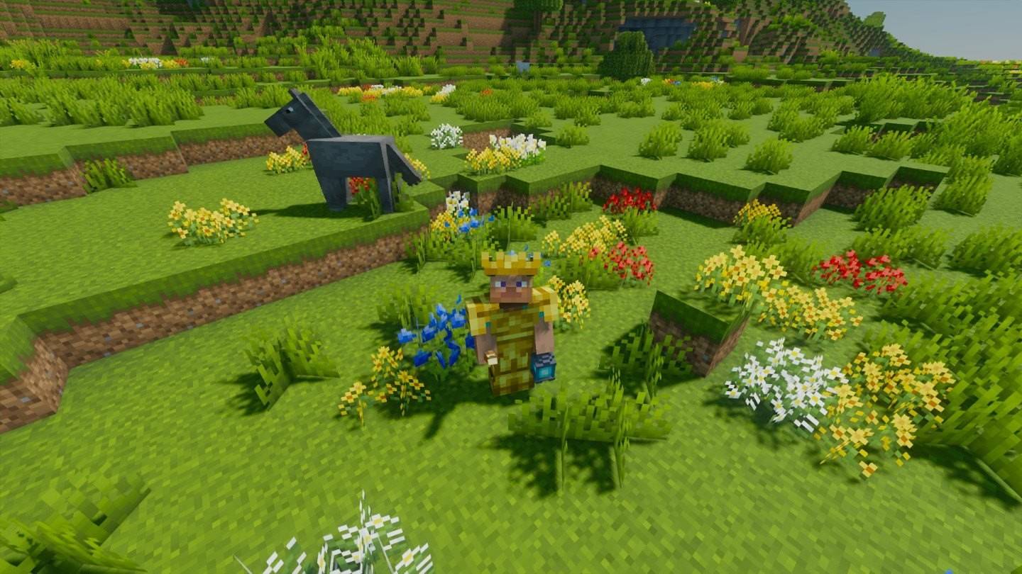 Che tipo di fiori ci sono in Minecraft