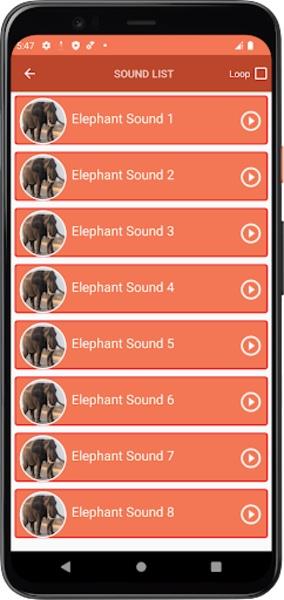 Elephant Sounds应用截图第1张