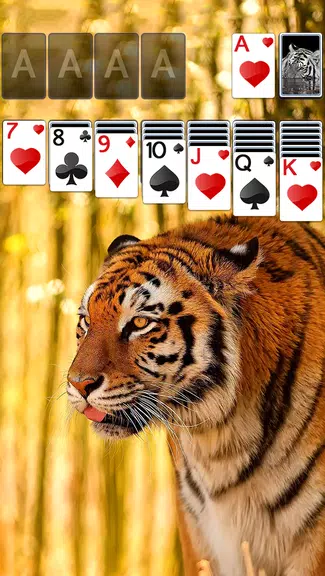 Solitaire Tiger Theme スクリーンショット 1