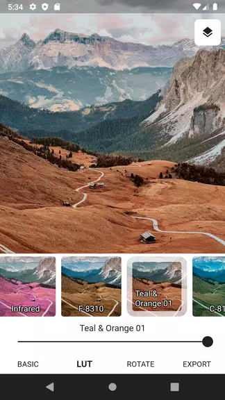 3DLUT mobile 2 Schermafbeelding 3