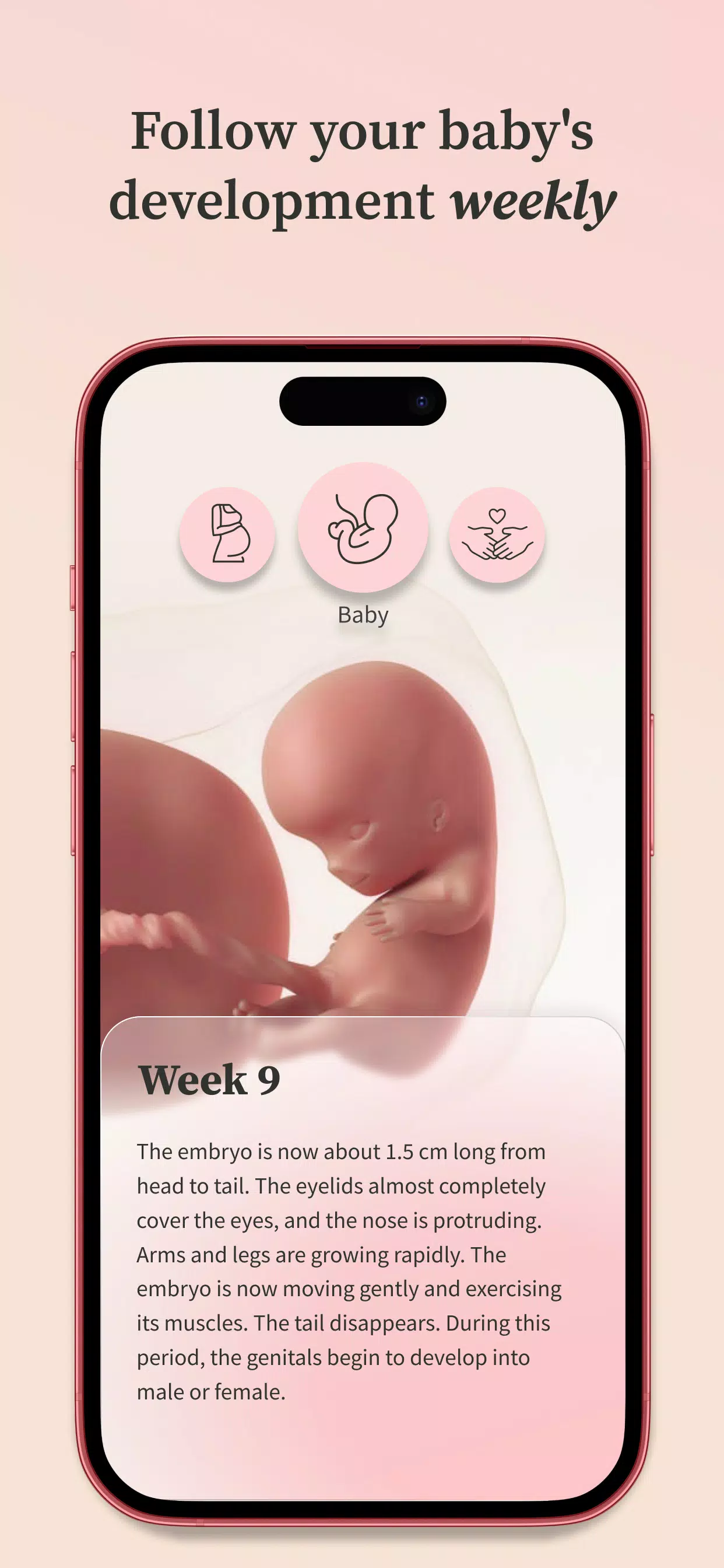 Preglife應用截圖第3張