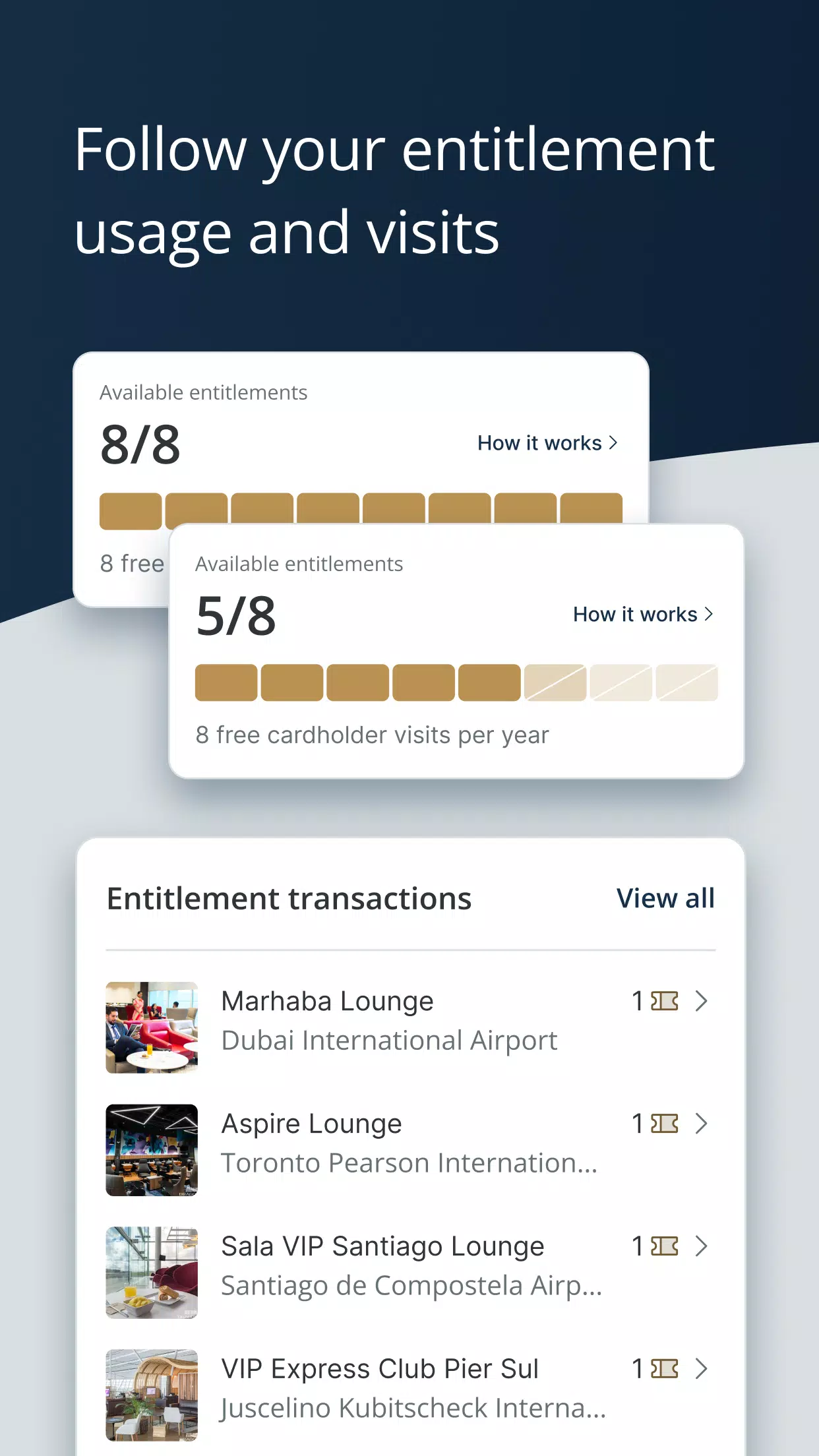 Visa Airport Companion Tangkapan skrin 4