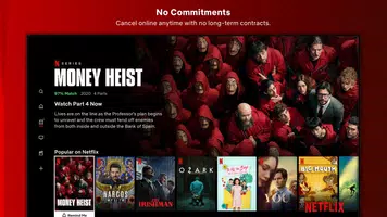 Netflix, Inc. Zrzut ekranu 3
