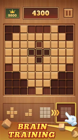 Wood Block 99 - Sudoku Puzzle স্ক্রিনশট 2