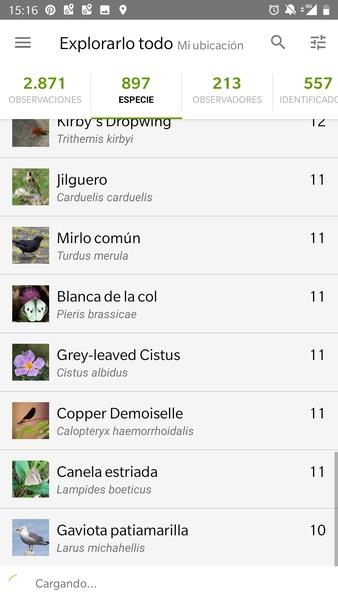 iNaturalist Screenshot 1