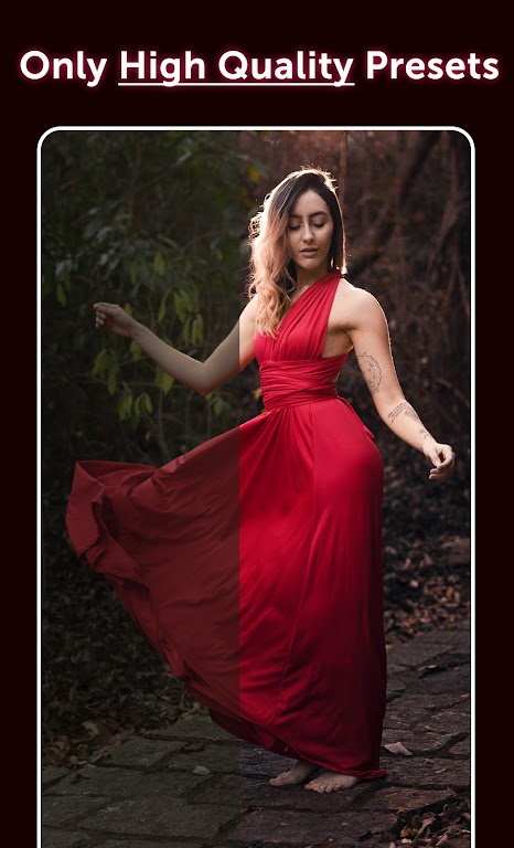Preset: Lightroom Presets Mod Скриншот 3