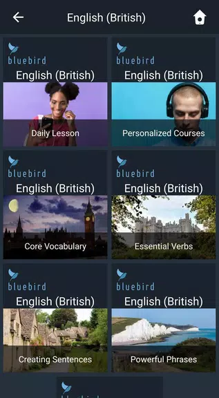 Learn British English. Speak B স্ক্রিনশট 1