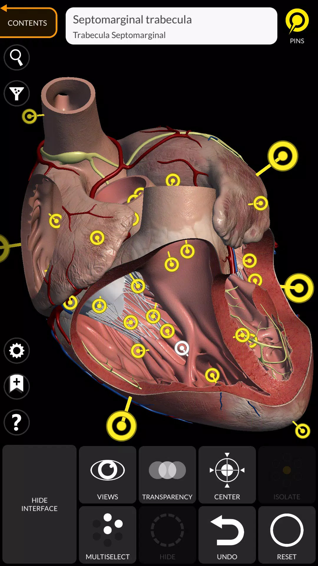 Anatomy 3D Atlas ဖန်သားပြင်ဓာတ်ပုံ 3
