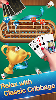 Cribbage - Card Game Captura de tela 2