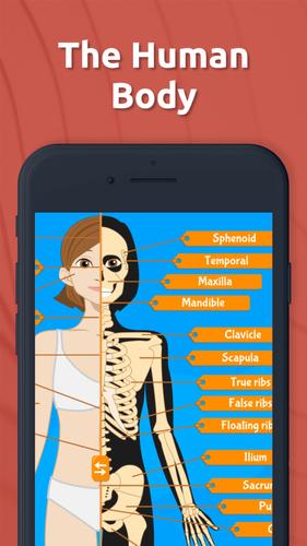 Human Anatomy - Body parts 스크린샷 1