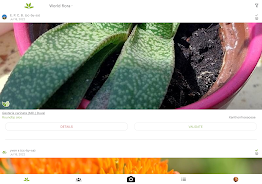 PlantNet ภาพหน้าจอ 3