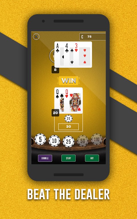 Fortune Joe Casino Captura de pantalla 4