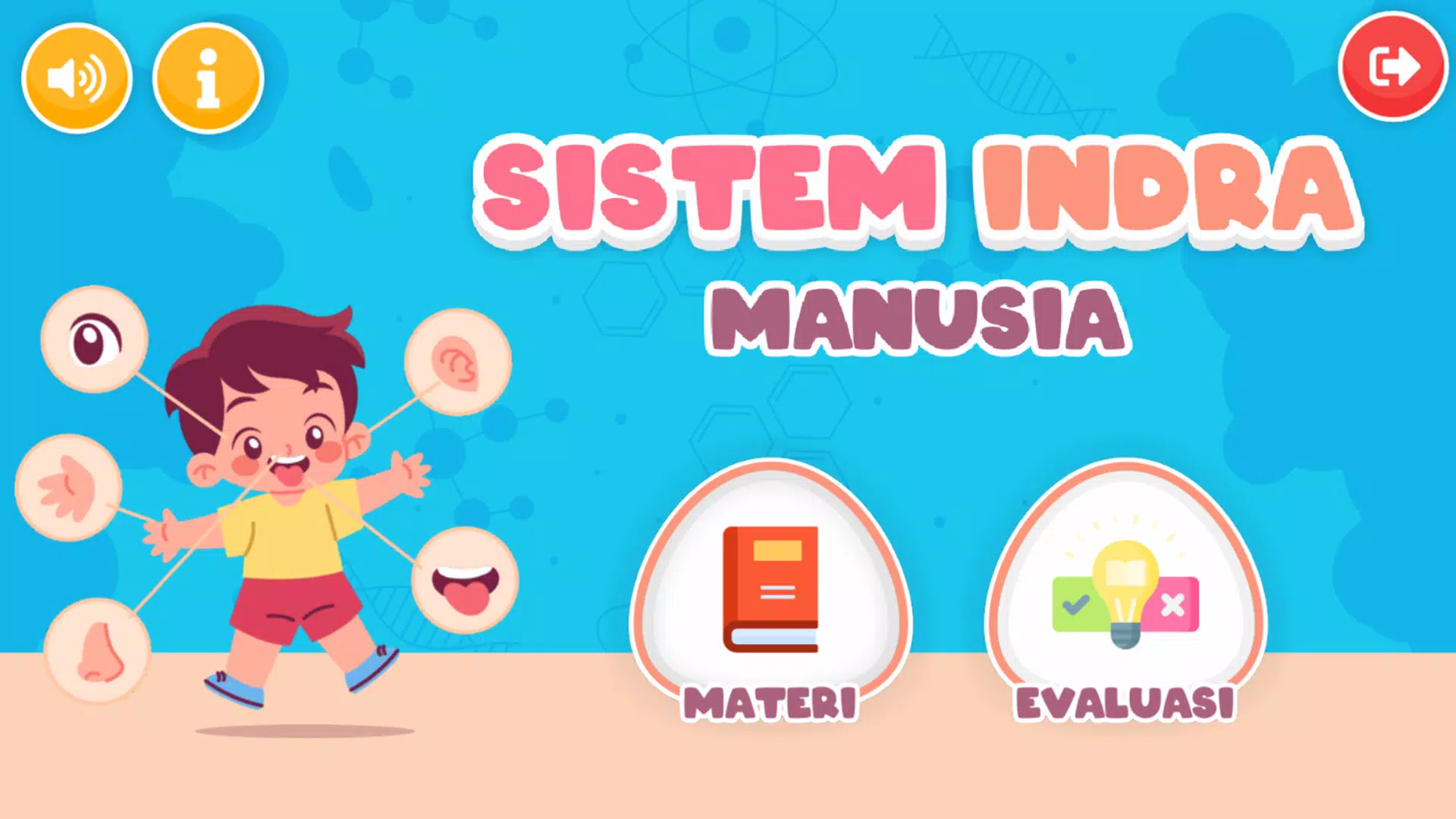 Sistem Indra Manusia 스크린샷 1